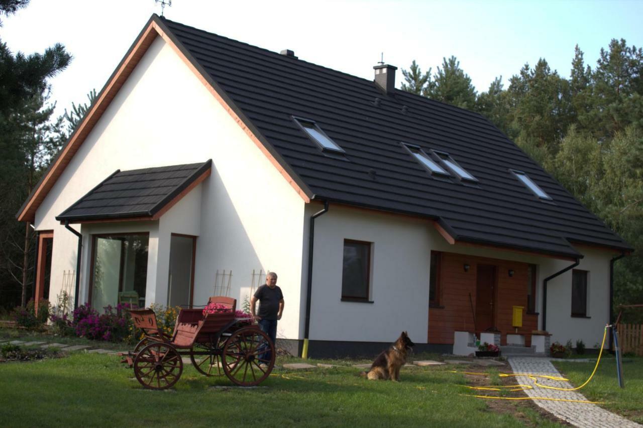 Koci Grzbiet Agroturystyka Dzierzazno Wielkie Exterior foto